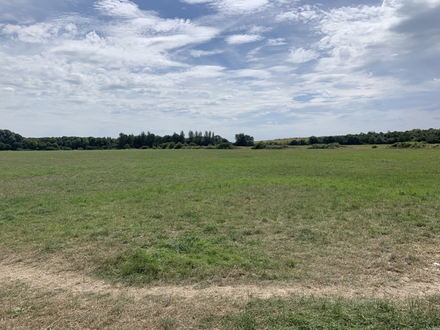 LL Section 16 ( 23.7.2020 )