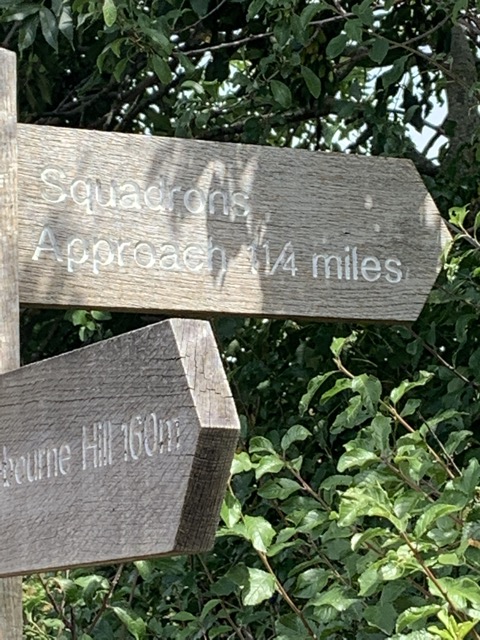 LL Section 16 ( 23.7.2020 )