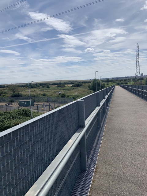 LL Section 16 ( 23.7.2020 )