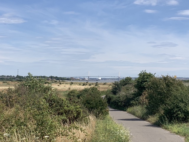 LL Section 16 ( 23.7.2020 )