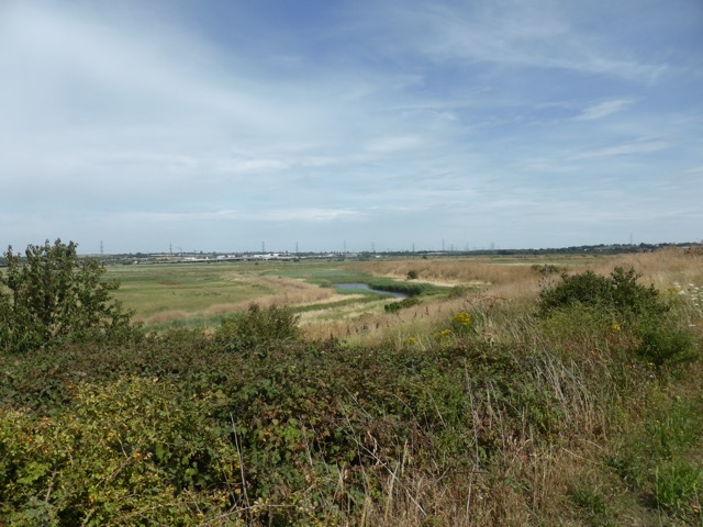 LL Section 16 ( 23.7.2020 )