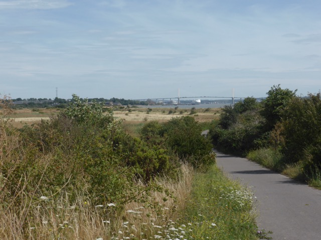 LL Section 16 ( 23.7.2020 )