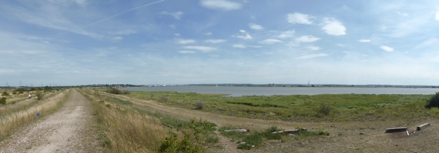 LL Section 16 ( 23.7.2020 )