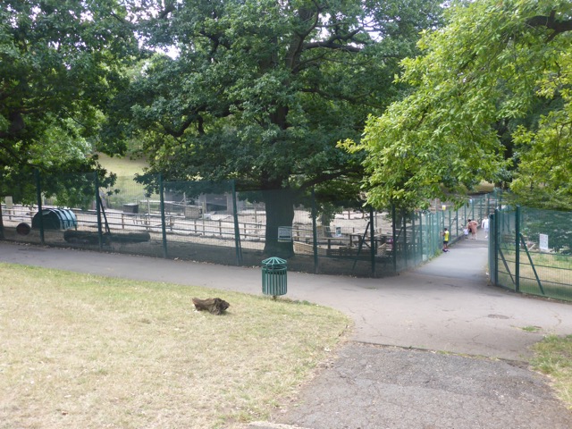 Capital Ring Walk Section 1