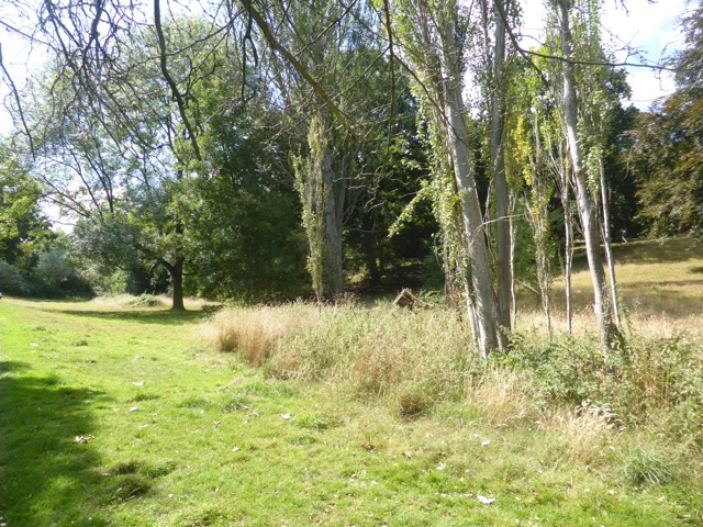 Capital Ring Walk Section 1