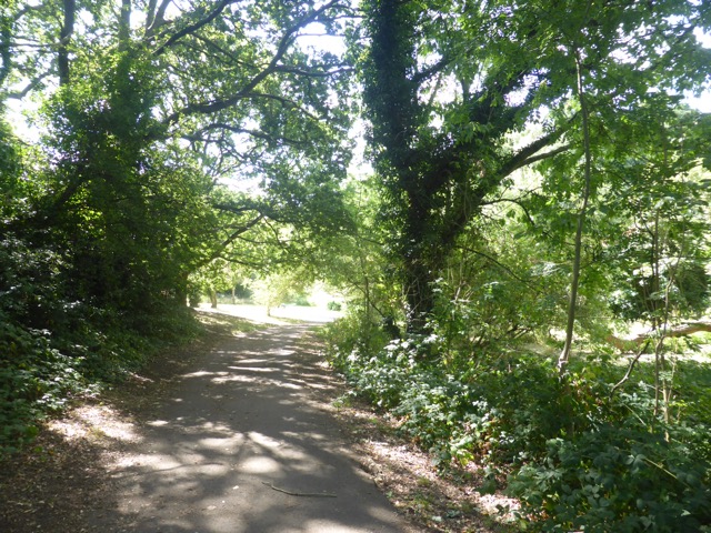 Capital Ring Walk Section 1