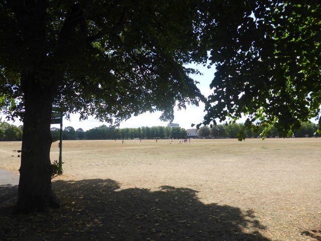 Capital Ring Walk Section 1