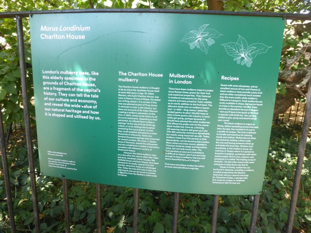 Capital Ring Walk Section 1