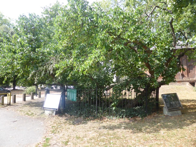 Capital Ring Walk Section 1