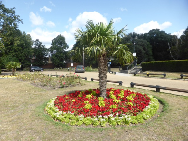 Capital Ring Walk Section 1