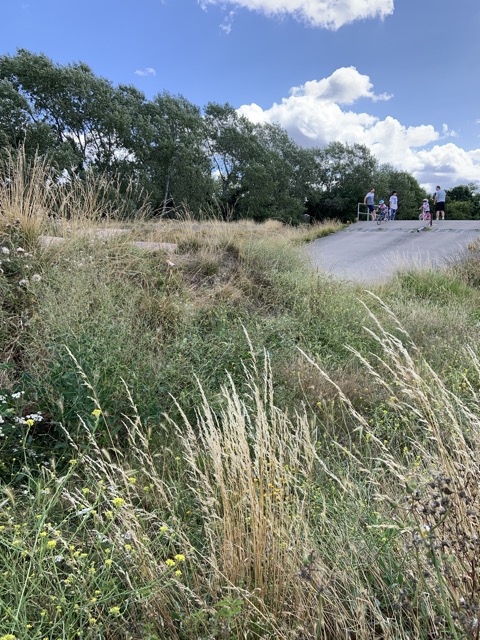 Capital Ring Walk Section 1