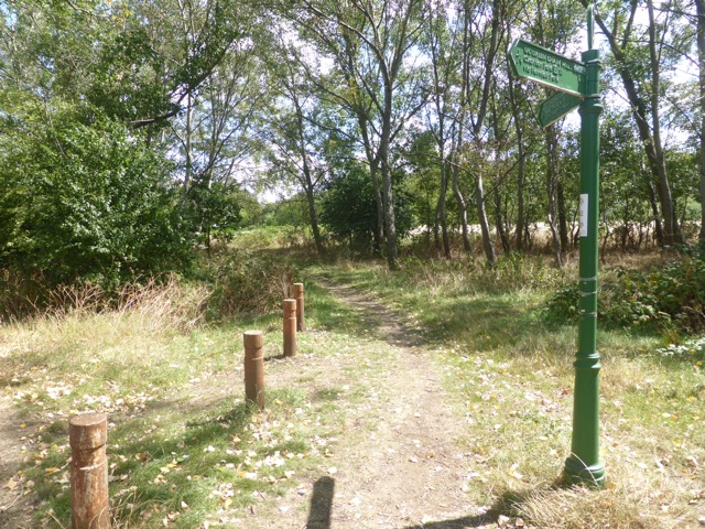 Capital Ring Walk Section 1