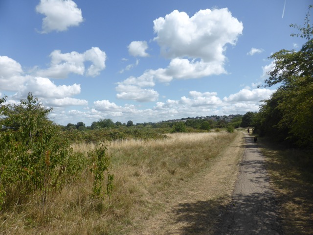 Capital Ring Walk Section 1