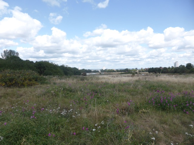 Capital Ring Walk Section 1