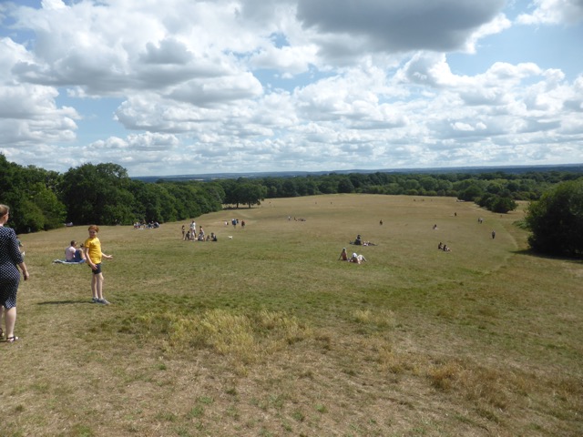 Capital Ring Walk Section 1