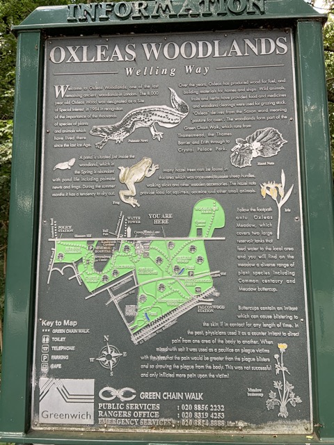 Capital Ring Walk Section 1