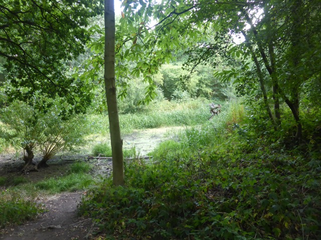 Capital Ring Walk Section 1