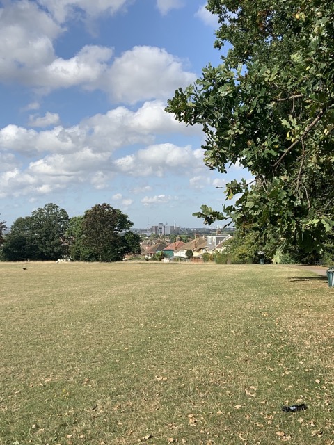 Capital Ring Walk Section 2