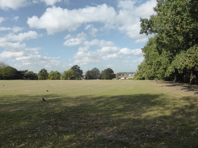 Capital Ring Walk Section 2