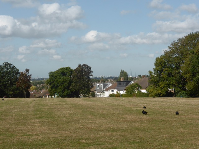 Capital Ring Walk Section 2