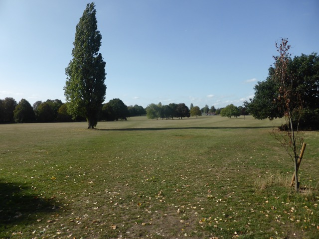 Capital Ring Walk Section 2