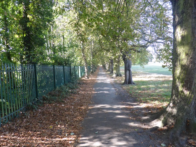 Capital Ring Walk Section 2