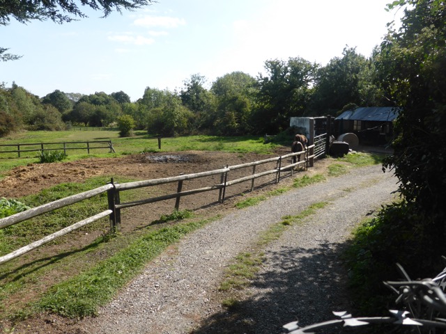 Capital Ring Walk Section 2