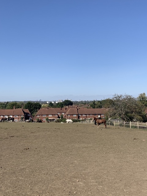 Capital Ring Walk Section 2