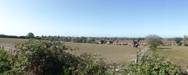 Capital Ring Walk Section 2