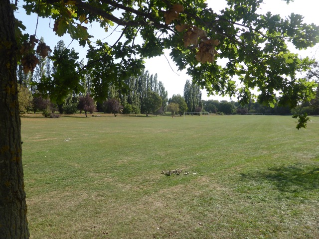 Capital Ring Walk Section 2