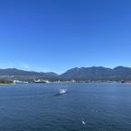 2022-08-06_095241 2.jpg