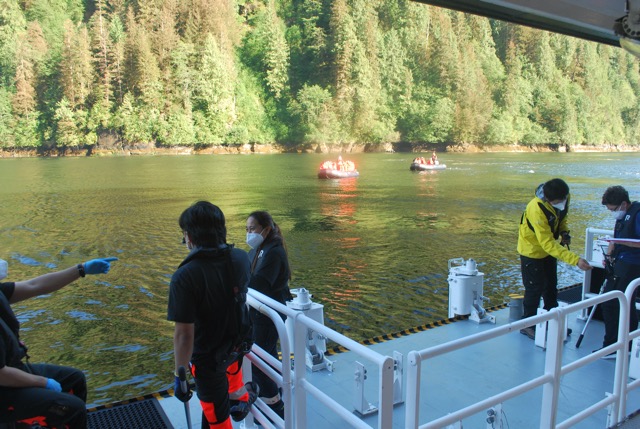 Misty Fjord Excursion