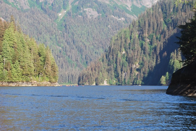 Misty Fjord Excursion