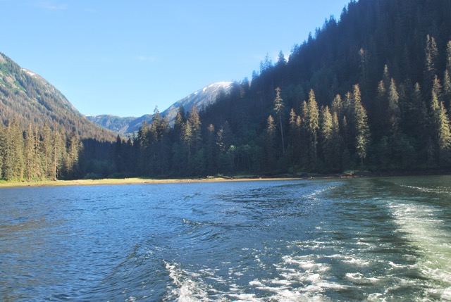 Misty Fjord Excursion