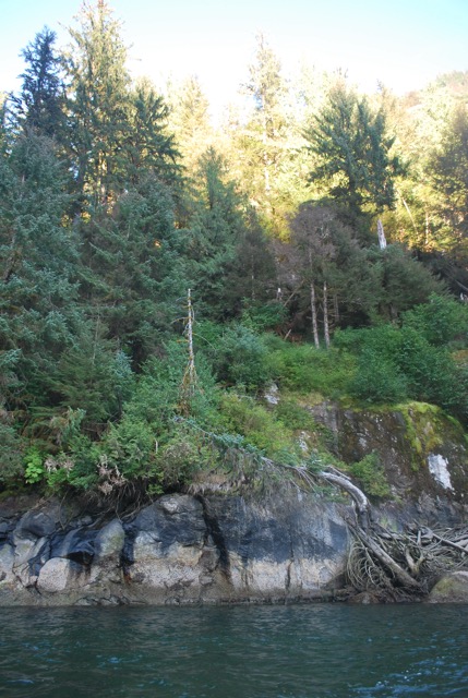 Misty Fjord Excursion