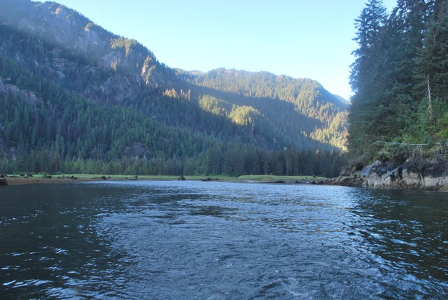 Misty Fjord Excursion