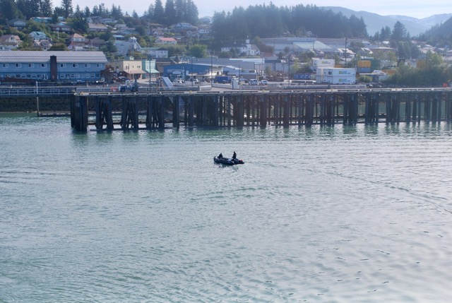 Up to see immigration