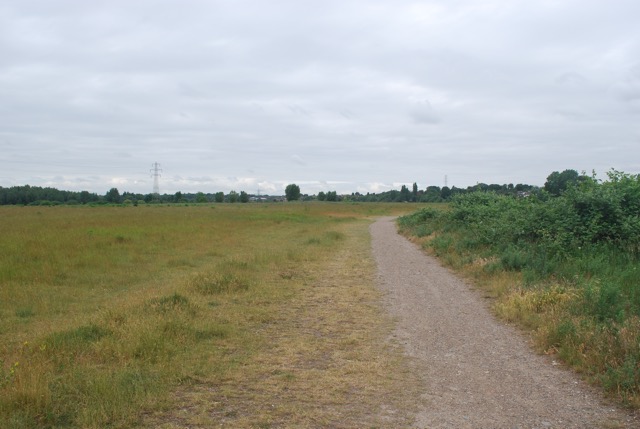 24.6.2013 Section 2  ( &frac12;  )