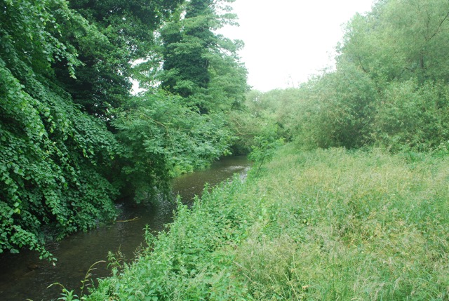 24.6.2013 Section 2  ( &frac12;  )