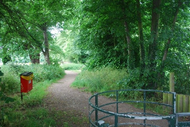 24.6.2013 Section 2  ( &frac12;  )