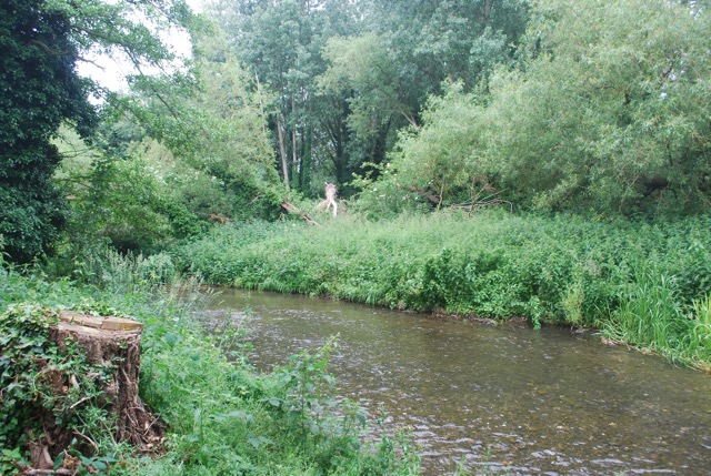 24.6.2013 Section 2  ( &frac12;  )