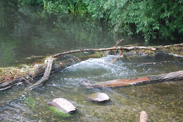 24.6.2013 Section 2  ( &frac12;  )