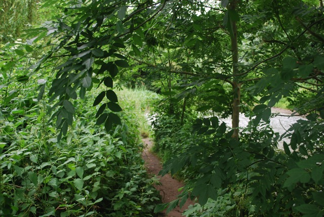 24.6.2013 Section 2  ( &frac12;  )