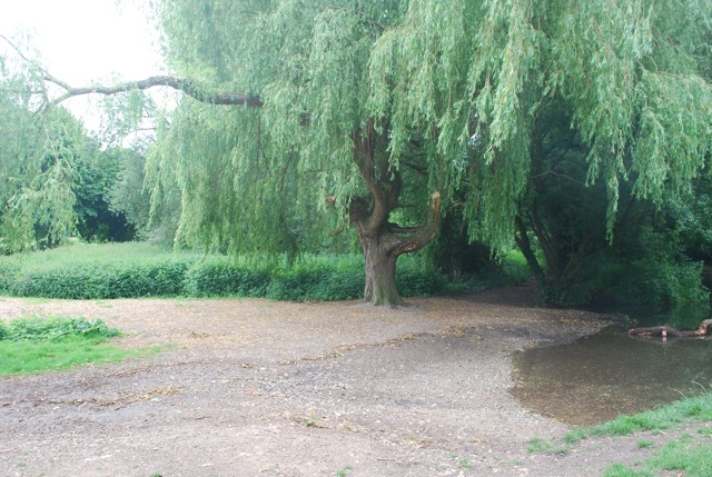 24.6.2013 Section 2  ( &frac12;  )