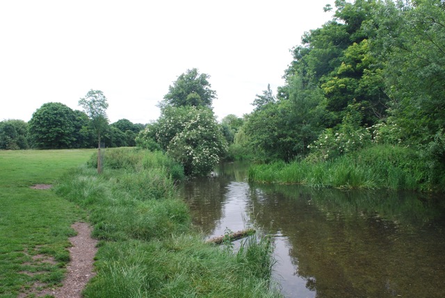 24.6.2013 Section 2  ( &frac12;  )