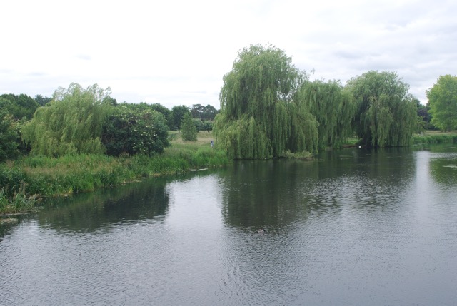 24.6.2013 Section 2  ( &frac12;  )