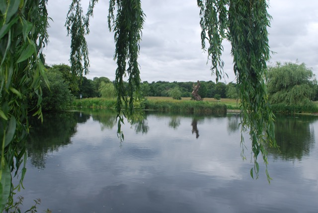 24.6.2013 Section 2  ( &frac12;  )