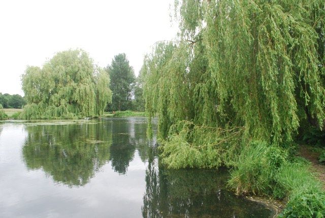 24.6.2013 Section 2  ( &frac12;  )