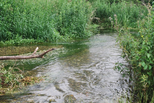 24.6.2013 Section 2  ( &frac12;  )