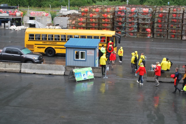 School busses for us